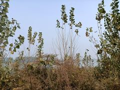 -黄河小浪底水利枢纽风景区