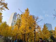 -重庆市江北嘴中央商务区中央公园