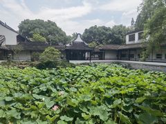 -上海醉白池公园