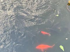 -文瀛公园