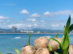 -三亚蜈支洲岛旅游区