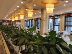-椿记烧鹅(北门店)