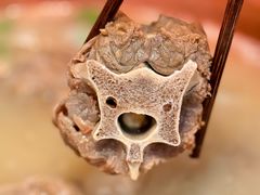 -香满锅老北京羊蝎子火锅·家常菜(新街口店)