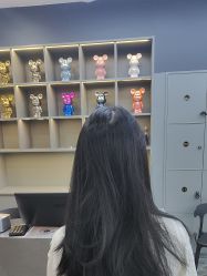 -藤野造型