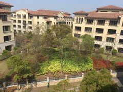 -上海崇明金茂凯悦酒店