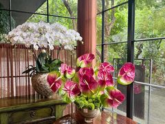-T館·花园艺术餐厅