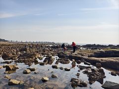 -青岛第二海水浴场