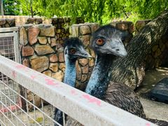 -J Create城市露营咖啡·简餐·宠物(上海动物园店)