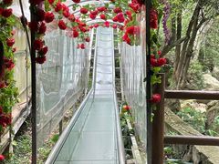 -牛鱼嘴原始生态风景区