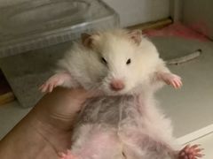 -长安国际影城(钟楼店)