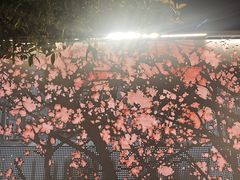 -西北湖绿化广场