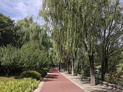 -南长河公园