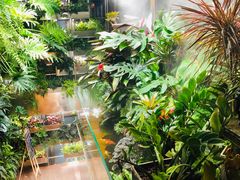 -森味薪火烧•烧鸟居酒屋•日本料理(望京店)