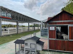 -上海崇明金茂凯悦酒店