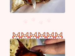 -宝龙广场(蓬莱区)