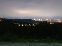 -金水泊山庄·花椒鸡(铁山坪店)