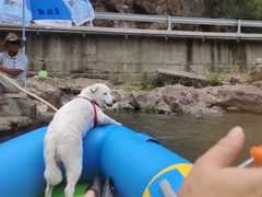 -安吉龙王山峡谷漂流