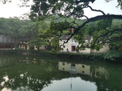 -枣子树·素食餐厅(普陀山店)