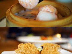 -广州富力君悦大酒店空中花园