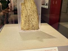 -北京大学赛克勒考古与艺术博物馆