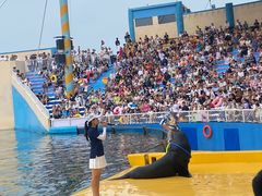 -秦皇岛乐岛海洋王国