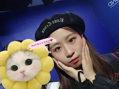 -爱丽丝冒险奇遇记