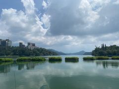 -伊达邵码头(德化社码头)