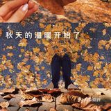 八大关的枫叶
