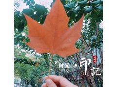 -梅岭月亮湾山体公园