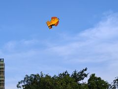 -东莞市科学技术博物馆