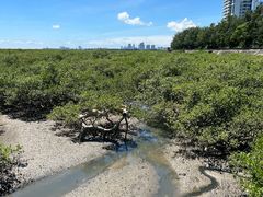 -北海金海湾红树林生态旅游区