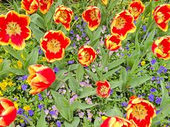 -浙江西子宾馆·瑶园咖啡厅