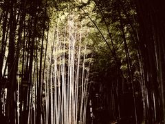 -苏州环秀晓筑养生度假村