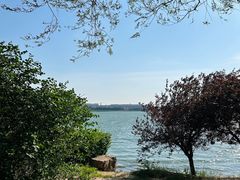 -丁香湖公园