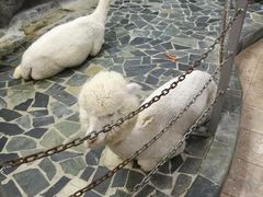 -上海大自然野生昆虫馆(东方明珠·爬宠昆虫探索中心)