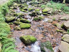 -五女峰国家森林公园