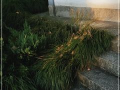 -梦姑塘文化公园