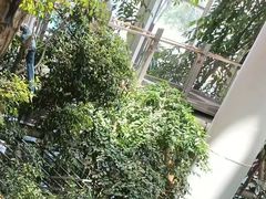 -婺源站