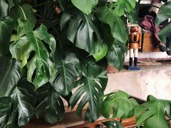 -懒鱼时光馆(沙坪坝店)