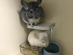 -龙猫仔乐园(惠福东路店)