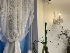 -共舞时光猫咖·狗咖(新街口店)
