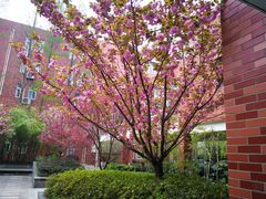 -南京市第五十四中学