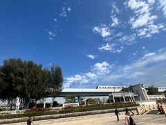 -宝安西湾红树林湿地公园