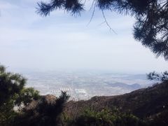 景点-阳台山自然风景区