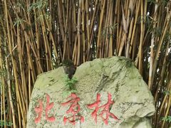 -邓小平故里