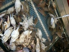 -孙家码头海鲜自助美食城