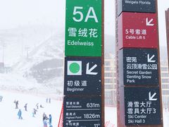 -密苑云顶乐园(云顶滑雪场)