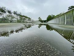 -飞凤山奥体公园