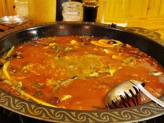 -三道苗苗鱼·美蛙黄辣丁(八里店)