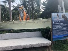 -白沙湾海滩
